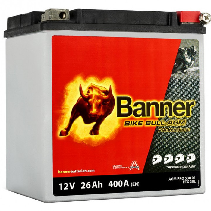 Аккумулятор Banner Bike Bull AGM PROfessional 53001 ETX30L 26 Ач обр. пол. 400А (168x131x176)
