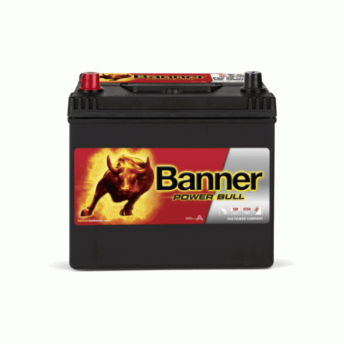 Аккумулятор BANNER Power Bull (60 69) 60L 480A 233x173x225