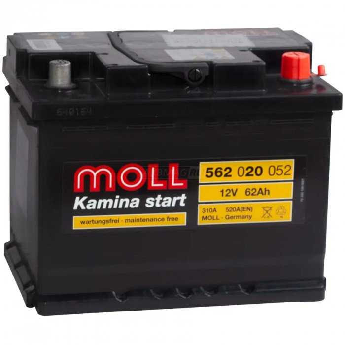 Аккумулятор Moll Kamina Start 62R 520A (242x175x190)