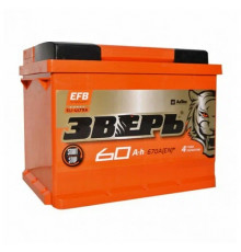 Аккумулятор Зверь EFB 60Ач 670A обр. пол. (242x175x190) ZVEFB 60-З-R