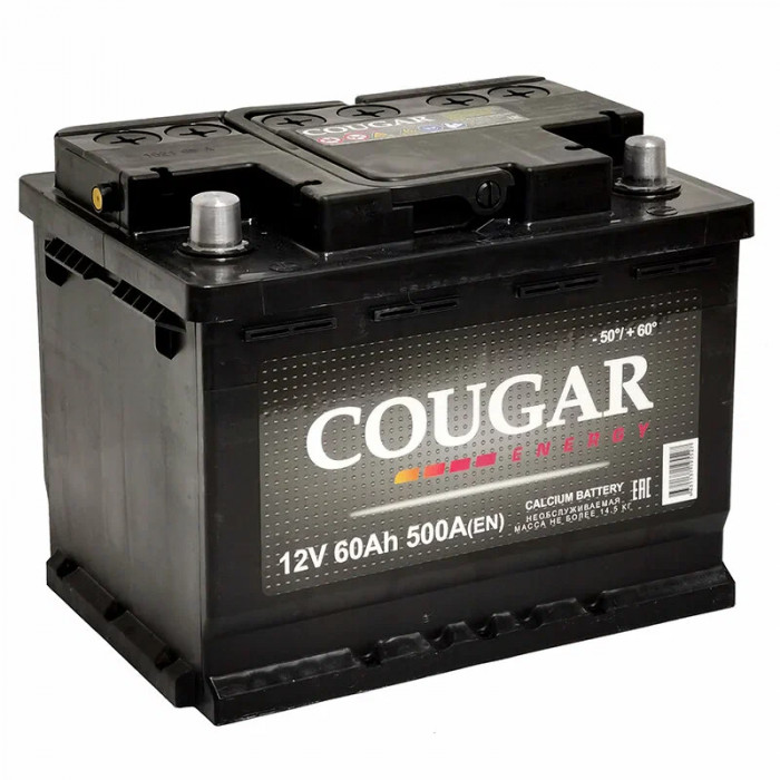 Аккумулятор автомобильный Cougar Energy 60 Ач 480А пр. пол. 242x175x190