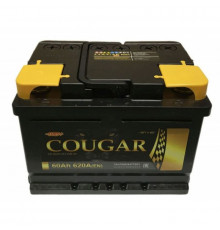 Аккумулятор автомобильный Cougar 60 Ач 560А обр. пол. 242x175x190