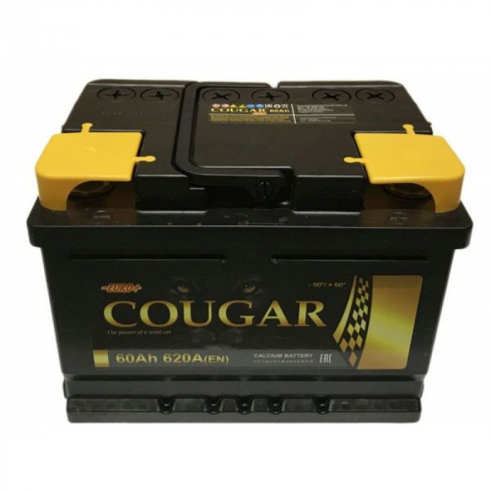 Аккумулятор автомобильный Cougar 60 Ач 560А обр. пол. 242x175x190