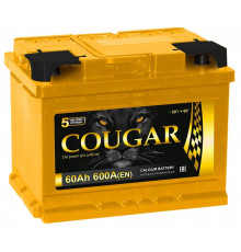 Аккумулятор автомобильный Cougar 60 Ач (низкий) 620А обр. пол. 242x175x175