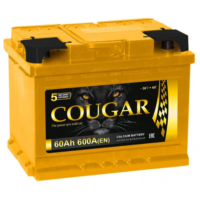 Аккумулятор автомобильный Cougar 60 Ач (низкий) 620А обр. пол. 242x175x175