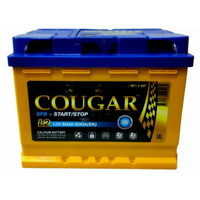 Аккумулятор автомобильный Cougar EFB 60 Ah 650А пр. пол. 242x175x190