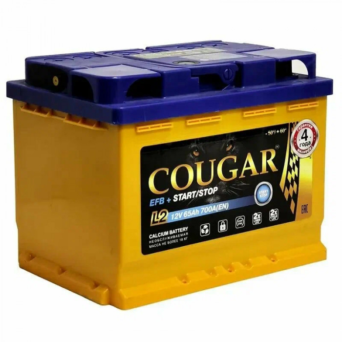 Аккумулятор автомобильный Cougar EFB 65 Ач 750А обр. пол. 242x175x190