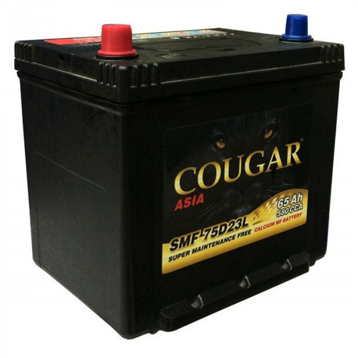 Аккумулятор автомобильный Cougar 75D23R 65 Ач 580А пр. пол. 232x173x220