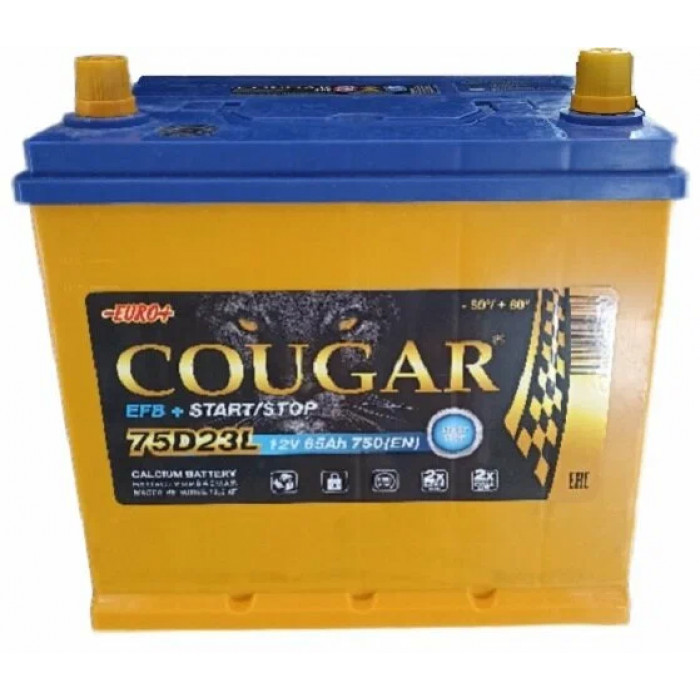Аккумулятор автомобильный Cougar EFB ASIA 65 Ач 700А обр. пол. 232x173x220