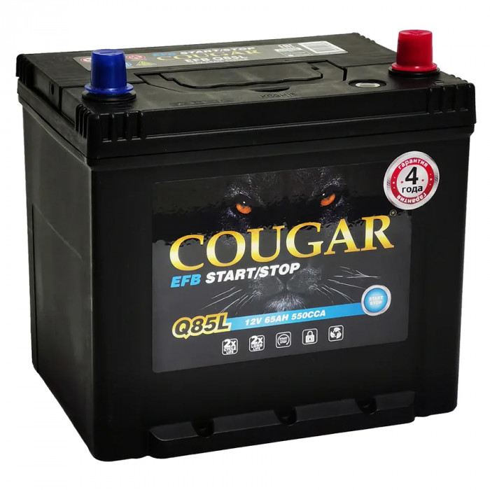 Аккумулятор автомобильный Cougar Q85L EFB Start-Stop 65 Ач 550А обр. пол. 232x173x220