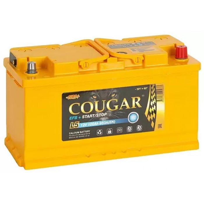 Аккумулятор автомобильный Cougar EFB 100 Ач 950А обр. пол. 353x175x190