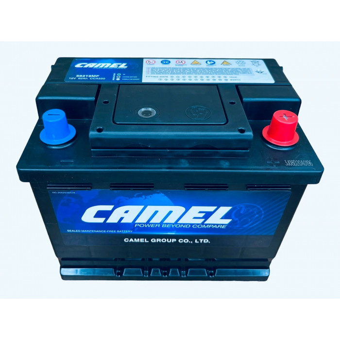 Аккумулятор автомобильный CAMEL 56219MF L2 62Ah 550А обр. пол. 242x175x190