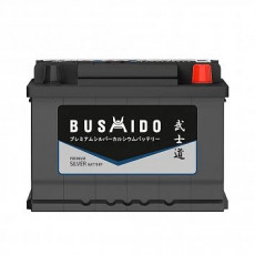 Аккумулятор BUSHIDO SILVER 62R обр. пол. низкий 600А 242x175x175