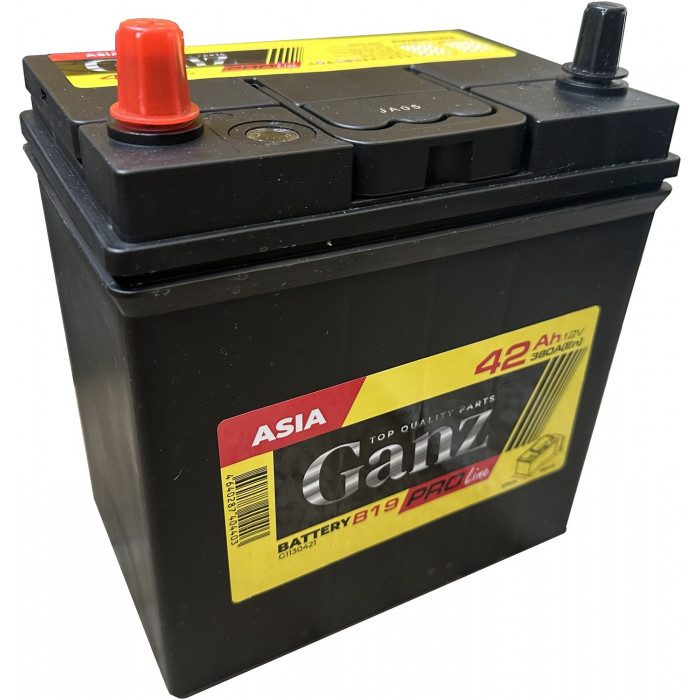 Автомобильный аккумулятор GANZ PRO-Line JIS 42L+ B19 EN 380А пр. пол. 187x127x220