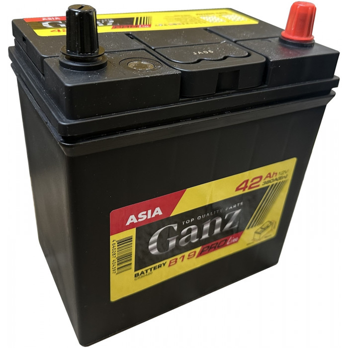 Автомобильный аккумулятор GANZ PRO-Line JIS 42R+ B19 EN 380А обр. пол. 187x127x220