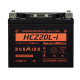 Аккумулятор Мото AGM BUSHIDO HCZ20L-i 21Ач 270A обр. пол. 177x88x155 (YTX20L-BS)
