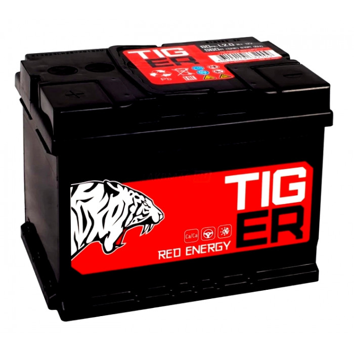 Аккумулятор Tiger Red Energy 60L прям. пол. 510A 242x175x190