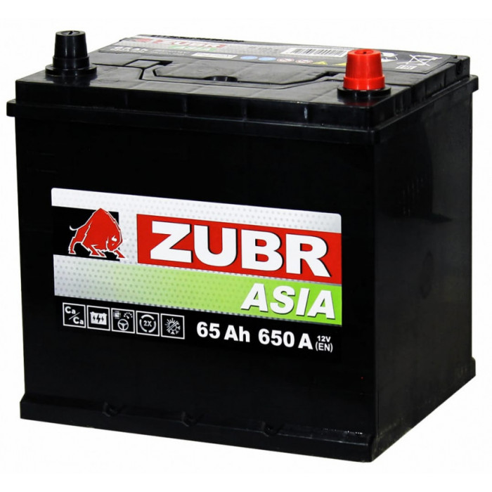 Аккумулятор Zubr Asia 65R обр. пол. 650А 232x173x225