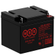 Аккумулятор WBR EVX40-12G