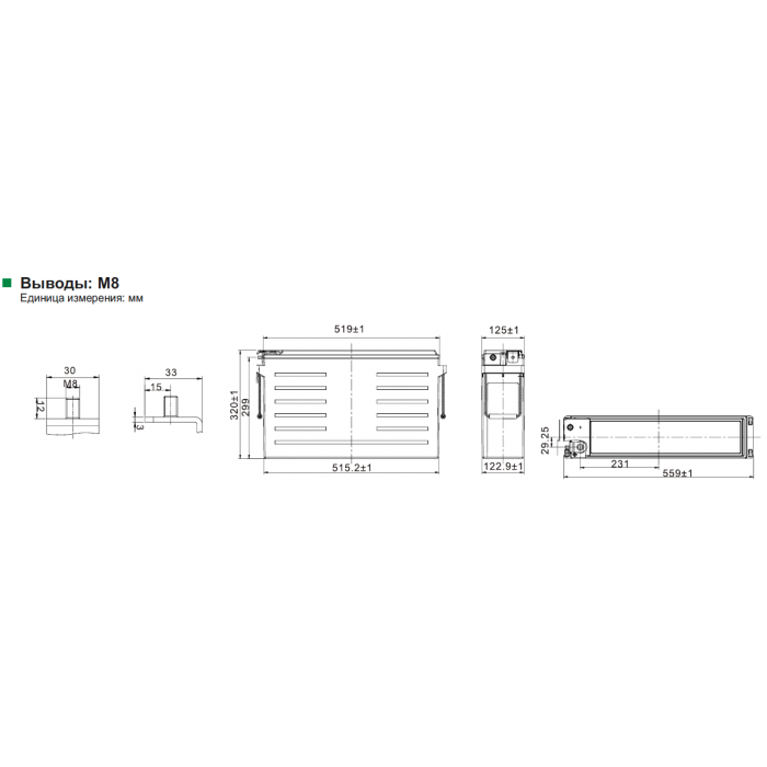 Аккумулятор Leoch PLH+C170FT