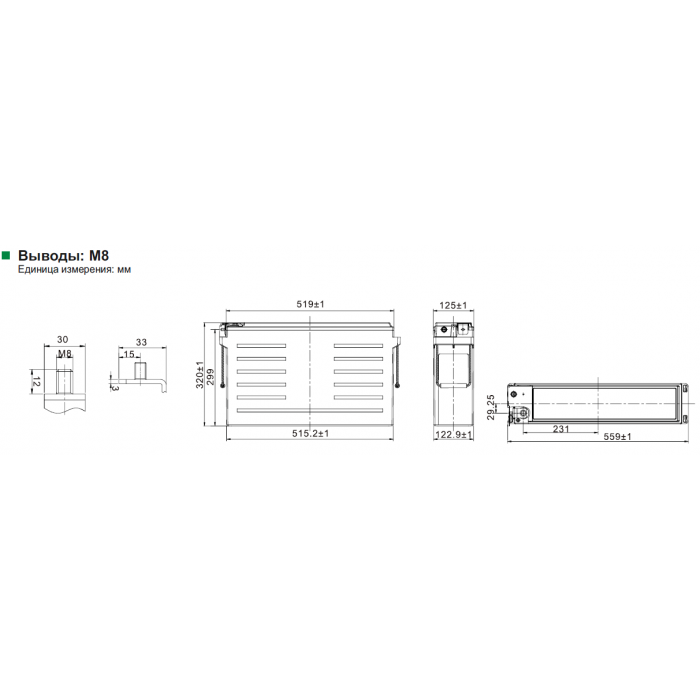 Аккумулятор Leoch PLH+C190FT