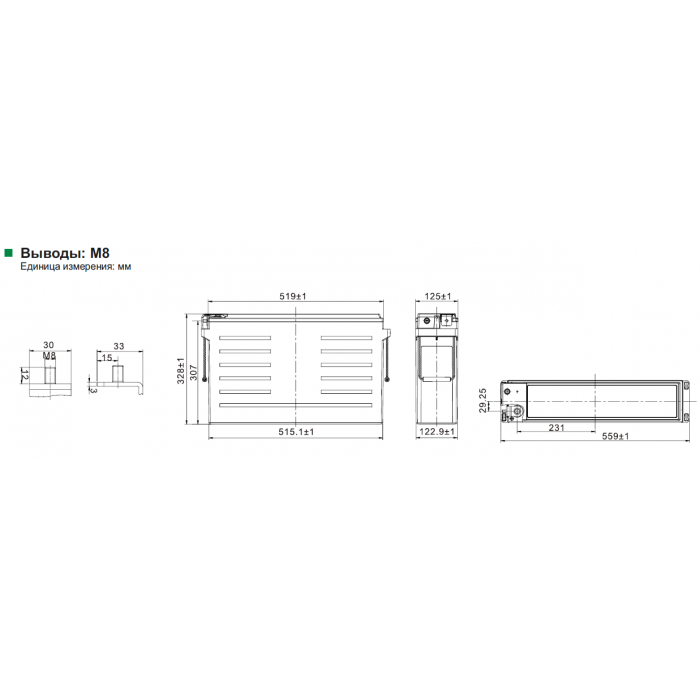 Аккумулятор Leoch PLH+C210FT