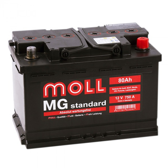 Аккумулятор Moll MG Standard 80R 750A 276x175x190