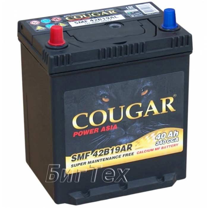 Аккумулятор автомобильный COUGAR SMF 42B19AR 40Ah (бортик) 340А пр. пол. 187x127x220