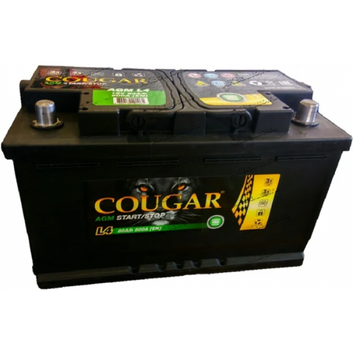 Аккумулятор автомобильный Cougar AGM Start-Stop 80 Ач 800А обр. пол. 315x175x190